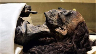 صورة سر احتفاظ مومياء بشعرها منذ 7000 عام.. أين شعرك يا شابة؟