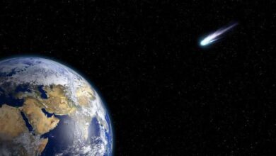صورة 《مصريون أبهروا العالم: تعرف على أول مصري تطلق ناسا اسمه على كويكب بالفضاء