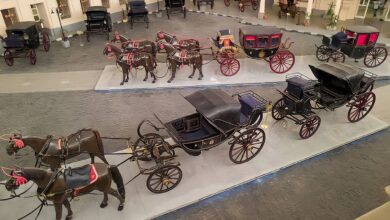 صورة متحف المركبات الملكية.. عربات شاهدة على تاريخ العصور الملكية