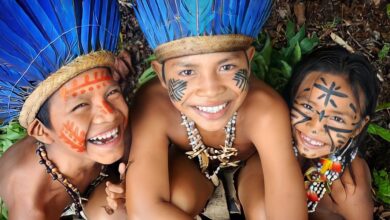 صورة في اليوم الدولي للسكان الأصليين.. كيف أنقذوا غابات الأمازون؟