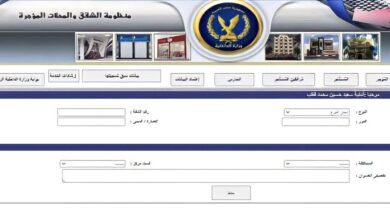 صورة لتسهيل خدماتك.. إليك أهم 6 تطبيقات تقدم خدمات حكومية في مصر