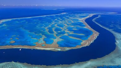 صورة “شعب أستراليا المرجانية”.. عمرها آلاف السنين ومعرضة للانقراض