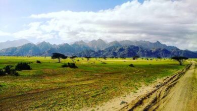 صورة كنوز مصر المنسية| “محمية جبل علبة بحلايب” ثروة طبيعية مهددة بالانقراض