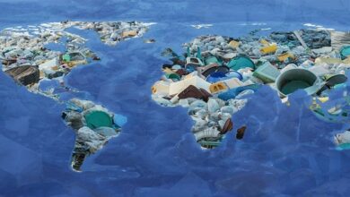صورة حلول إبداعية لأزمة نفايات البلاستيك التي تهدد عالمنا