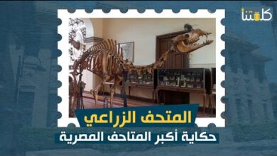 صورة المتحف الزراعي.. حكاية أكبر المتاحف الزراعية المصرية