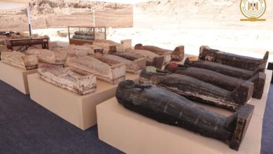 صورة مصر تكشف عن أول وأكبر خبيئة تماثيل برونزية بجبانة البوباسطيون بسقارة