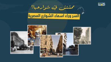 صورة ألبوم.. السر وراء أسماء الشوراع المصرية