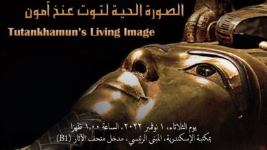 صورة الصورة الحية لتوت عنخ آمون في مكتبة الإسكندرية.. الثلاثاء
