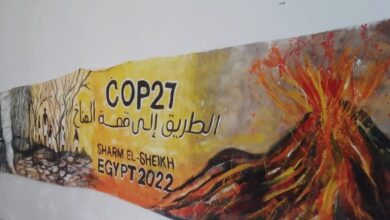 صورة 20 لوحة فنية عن التغير المناخي في مكتبة مصر الجديدة.. غداً