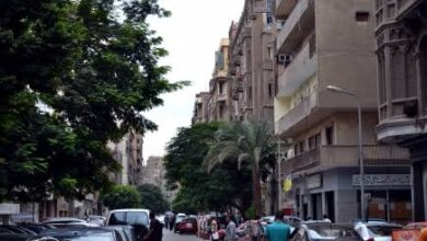 صورة حكاية شارع| هدى شعراوي.. الصعيدية التي غزت القاهرة بأفكارها