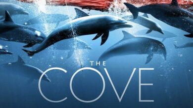 صورة أسرار مذبحة الدلافين.. «The Cove» يكشف السبب