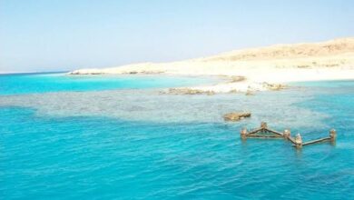 صورة “الجفتون”.. أول محمية طبيعية في البحر الأحمر تعرف عليها