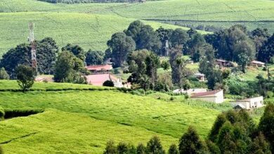 صورة بوروندي أصغر الدول الأفريقية التي تحوي أجمل الأماكن السياحية.. تعرف عليها