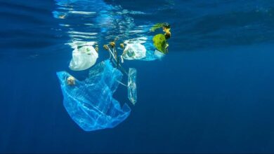 صورة وثائقي «a plastic ocean».. يكشف كارثة تلوث المحيطات!  
