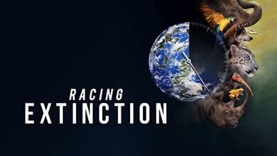 صورة وثائقي «Racing Extinction».. هل ستنقرض نصف أنواع الكائنات الحية في نهاية القرن؟!