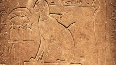 صورة هل تصدق أن المصريين القدماء خسروا معارك بسبب القطط.. اكتشف الأسباب المدهشة